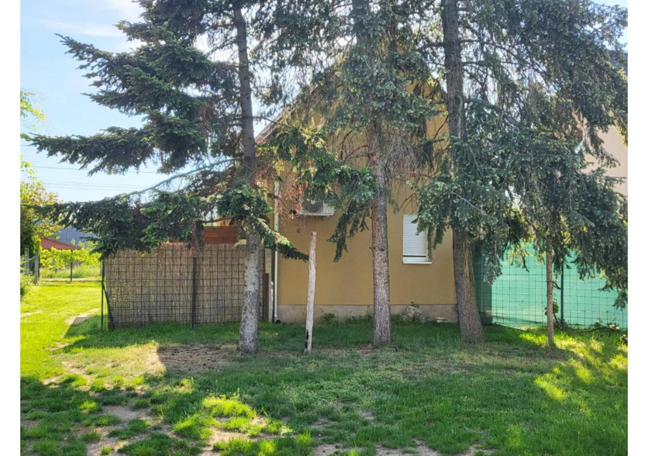 터터 Forras Vendeghaz 아파트 외부 사진
